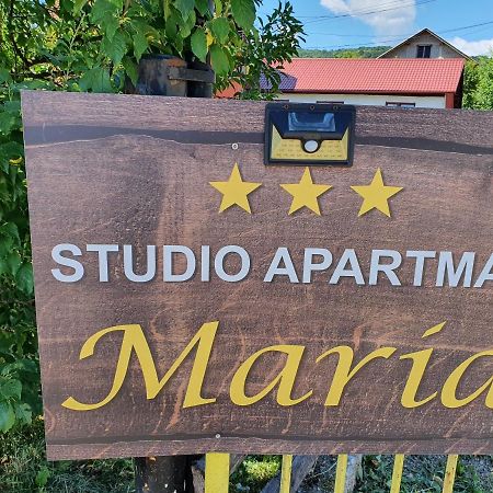 Studio Apartman Maria Lägenhet Slunj Exteriör bild