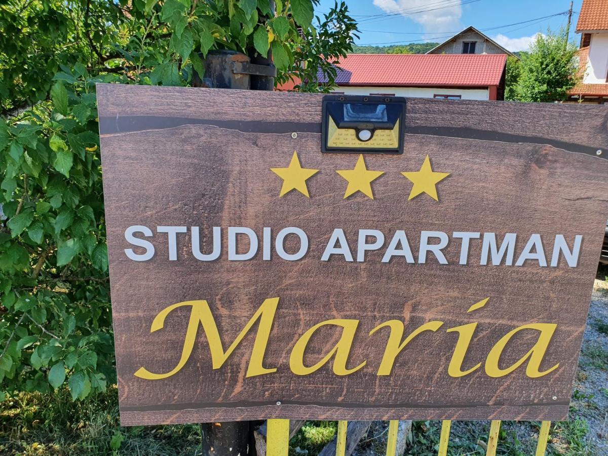 Studio Apartman Maria Lägenhet Slunj Exteriör bild